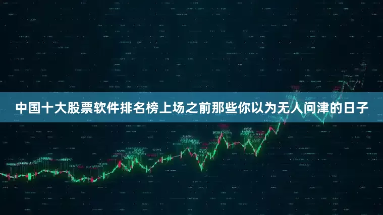 中国十大股票软件排名榜上场之前那些你以为无人问津的日子