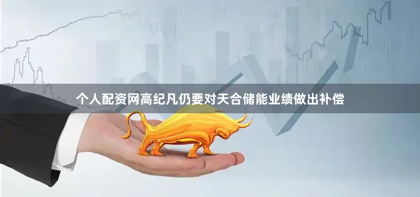 个人配资网高纪凡仍要对天合储能业绩做出补偿